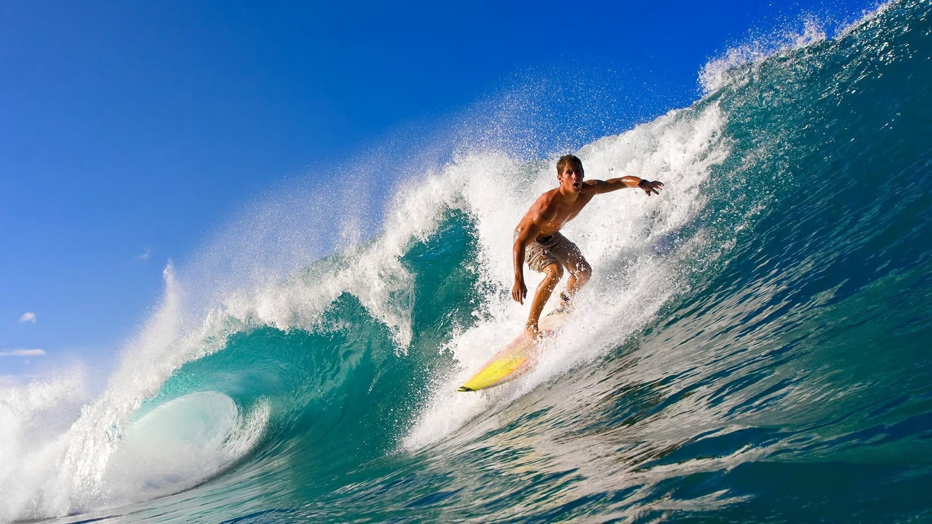 _野外生存赛：在荒野中挑战极限运动腕力_，户外运动野外生存